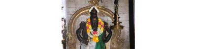 வாசுதேவநல்லூர்